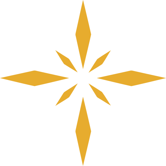 Stellar Star Icon